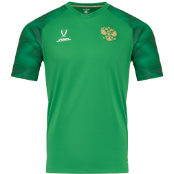 Футболка вратарская JOGEL NATIONAL PerFormDRY GK Jersey, зеленый