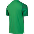 Футболка вратарская JOGEL NATIONAL PerFormDRY GK Jersey, зеленый