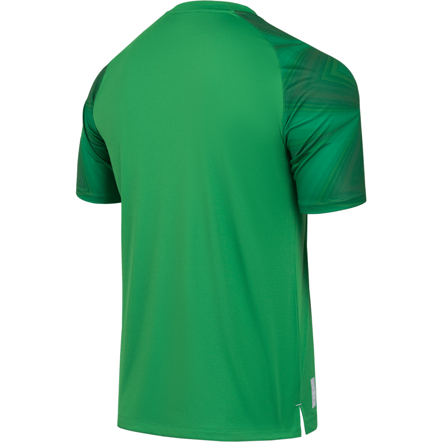 Футболка вратарская JOGEL NATIONAL PerFormDRY GK Jersey, зеленый
