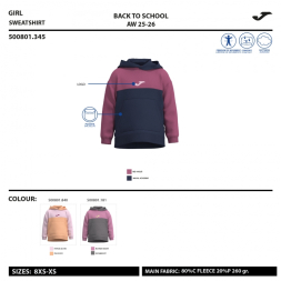 SUDADERA CON CAPUCHA PARK   VIOLETA