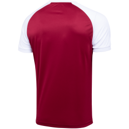 Футболка игровая JOGEL CAMP Reglan Jersey, гранатовый/белый