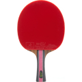 Ракетка для настольного тенниса DOUBLE FISH J8 в комплекте с чехлом