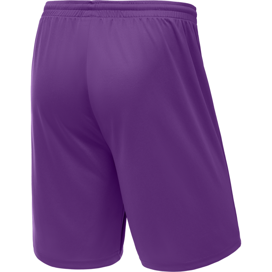 Шорты баскетбольные JOGEL CAMP Basic, фиолетовый, детский