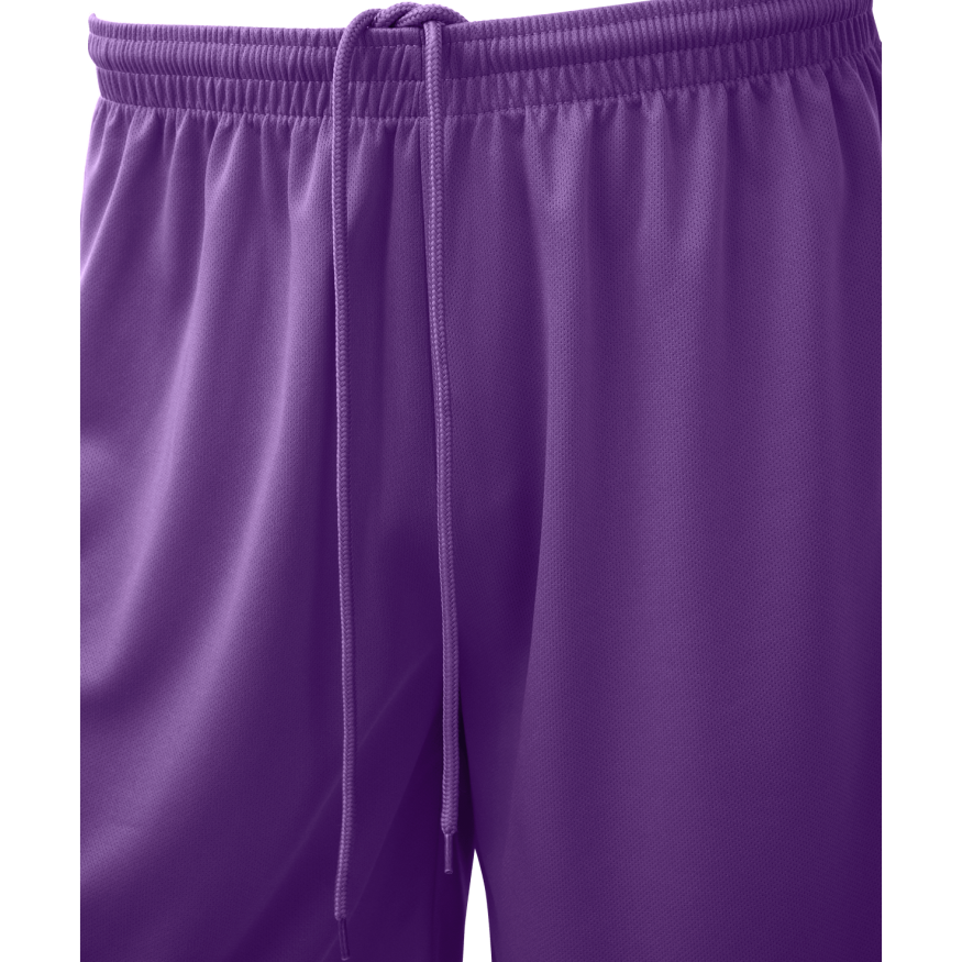 Шорты баскетбольные JOGEL CAMP Basic, фиолетовый, детский