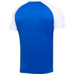 Футболка игровая JOGEL CAMP Reglan Jersey, синий/белый