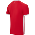 Футболка игровая JOGEL DIVISION PerFormDRY Element Jersey, красный