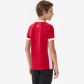 Футболка игровая JOGEL DIVISION PerFormDRY Element Jersey, красный