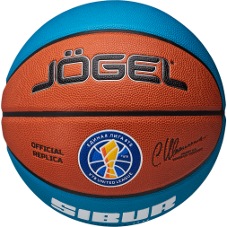 Мяч баскетбольный JOGEL Pro Training ECOBALL 2.0 Replica №7