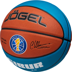 Мяч баскетбольный JOGEL Pro Training ECOBALL 2.0 Replica №7