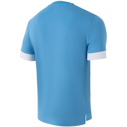 Футболка игровая JOGEL DIVISION PerFormDRY Union Jersey, голубой/белый/белый