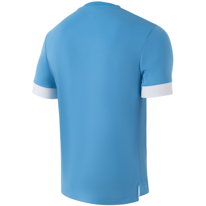 Футболка игровая JOGEL DIVISION PerFormDRY Union Jersey, голубой/белый/белый