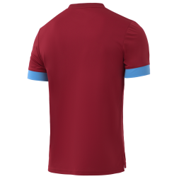 Футболка игровая JOGEL DIVISION PerFormDRY Union Jersey, гранатовый/голубой/белый