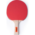 Ракетка для настольного тенниса TORRES Control 10 TT0001
