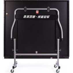 Стол для настольного тенниса DOUBLE FISH 2018G, Indoor для закрытых помещений