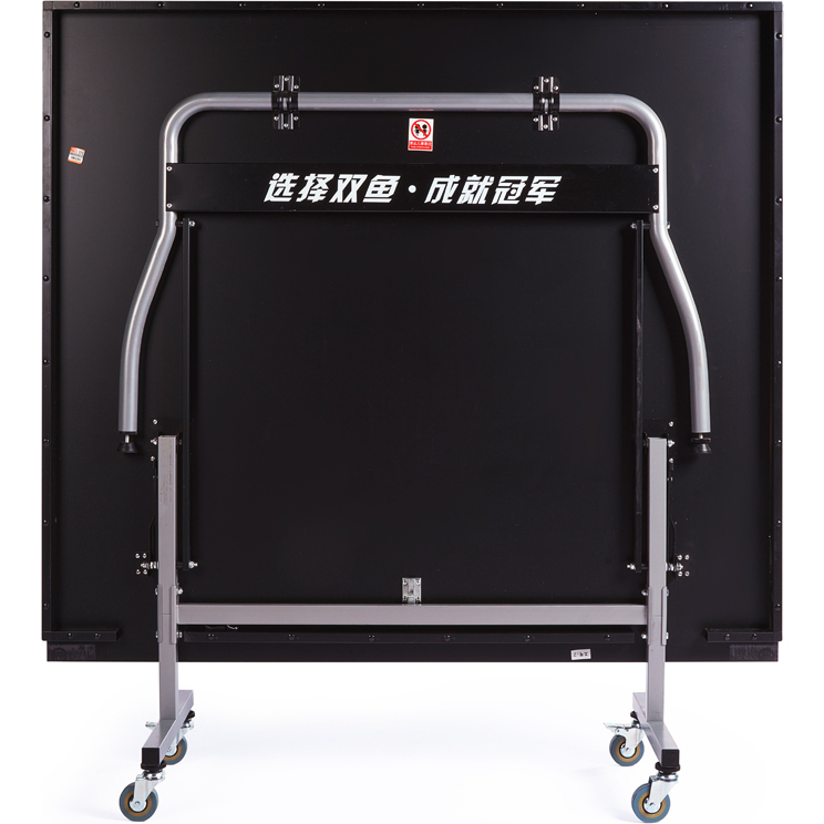 Стол для настольного тенниса DOUBLE FISH 2018G, Indoor для закрытых помещений