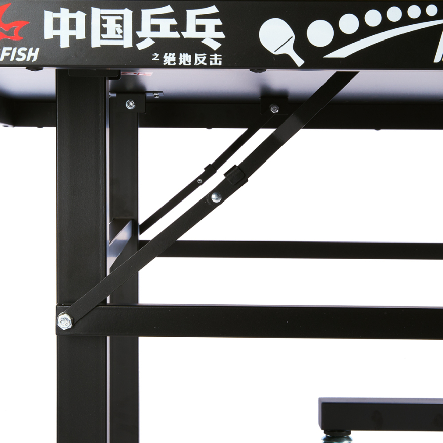 Стол для настольного тенниса DOUBLE FISH 201C-1, Indoor для закрытых помещений