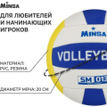 Мяч волейбольный MINSA SM 013, ПВХ, машинная сшивка, 18 панелей, р. 5