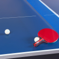 Стол для настольного тенниса DOUBLE FISH 203M-1, Indoor для закрытых помещений