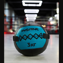 Медбол INSANE IN24-WB100, 3 кг, голубой