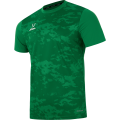 Футболка вратарская JOGEL DIVISION PerFormDRY SPLASH GK Jersey, зеленый