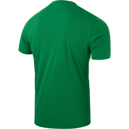 Футболка вратарская JOGEL DIVISION PerFormDRY SPLASH GK Jersey, зеленый