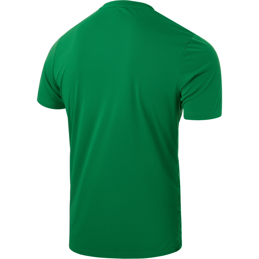 Футболка вратарская JOGEL DIVISION PerFormDRY SPLASH GK Jersey, зеленый