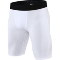 Термобелье низ  FN Termo Shorts