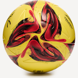 Мяч футбольный JOGEL Triumph Elite Winter №5