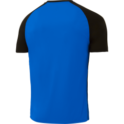 Футболка игровая JOGEL CAMP Striped Jersey, синий/черный