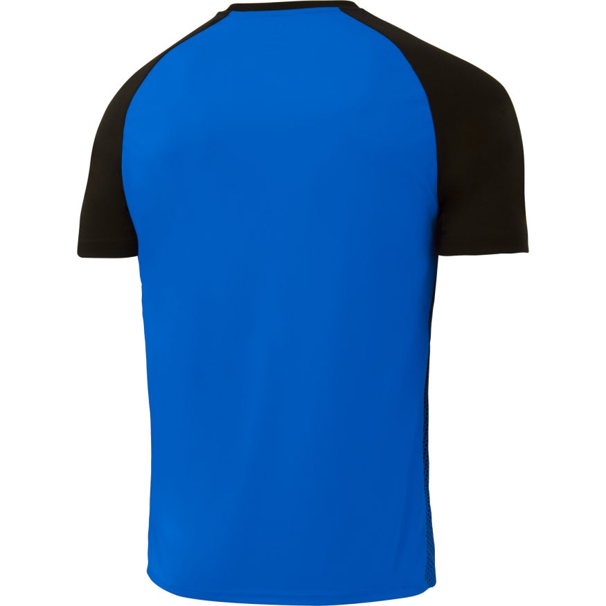 Футболка игровая JOGEL CAMP Striped Jersey, синий/черный, детский