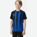 Футболка игровая JOGEL CAMP Striped Jersey, синий/черный, детский